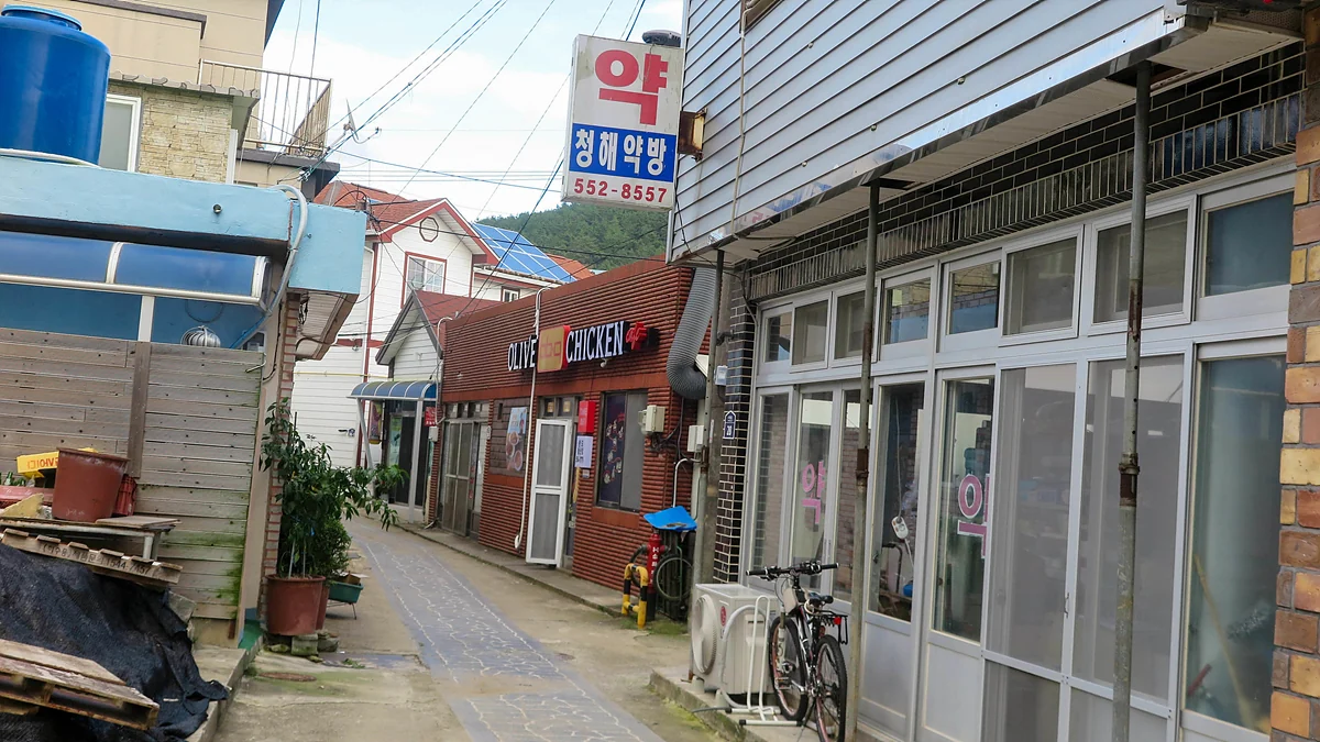 IMG_2197.jpg