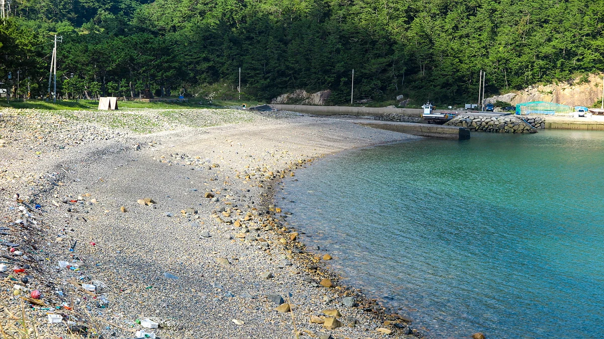 IMG_2126.jpg